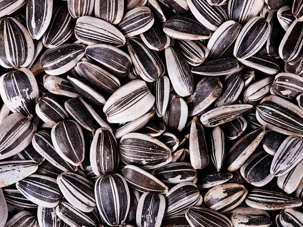 Retiran del mercado semillas de girasol de Creative Snacks Co.