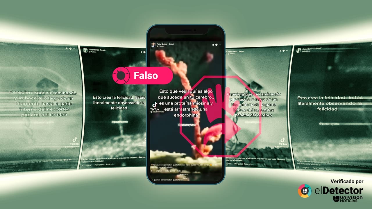 Este video NO muestra cómo se crea “la felicidad” en el cerebro, como aseguran en redes sociales