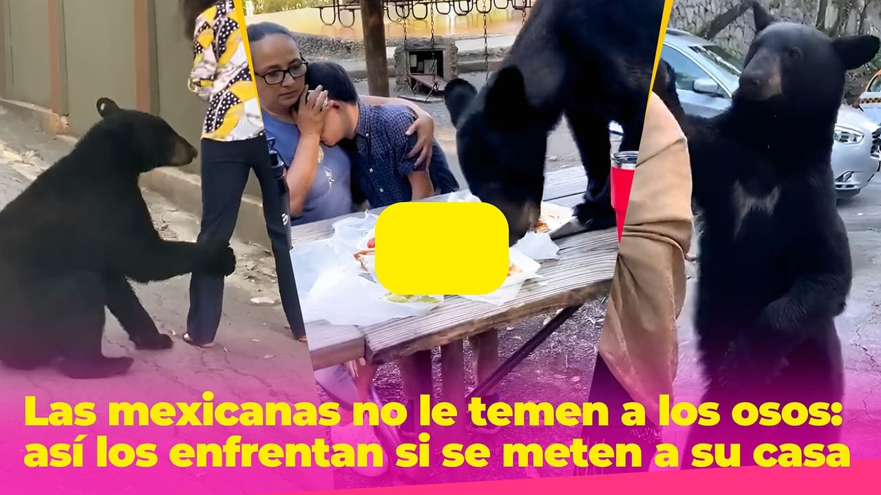 Las mexicanas no le temen ni a los osos: así los enfrentan cuando roban su comida o se meten a su casa