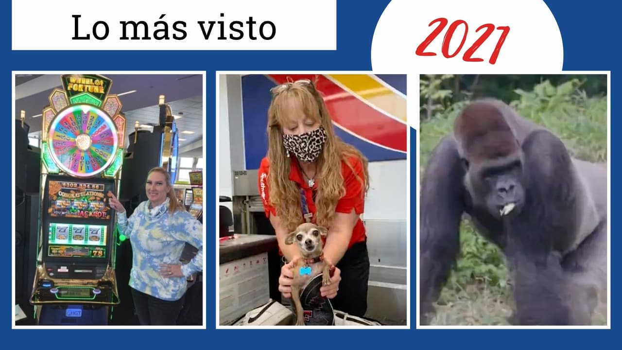 Copia de Copia de !!23 (3).jpg