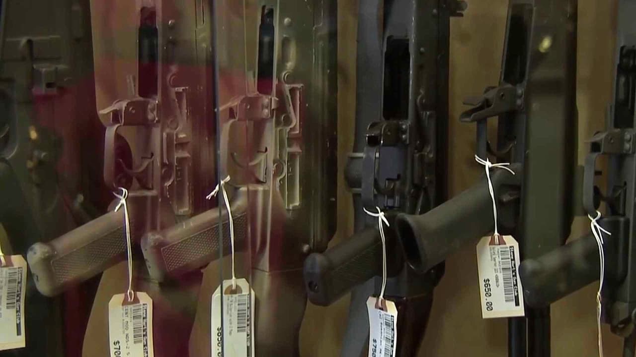 Dpto. Justicia impulsa 34 normas para reducir los controles a vendedores de armas en EEUU