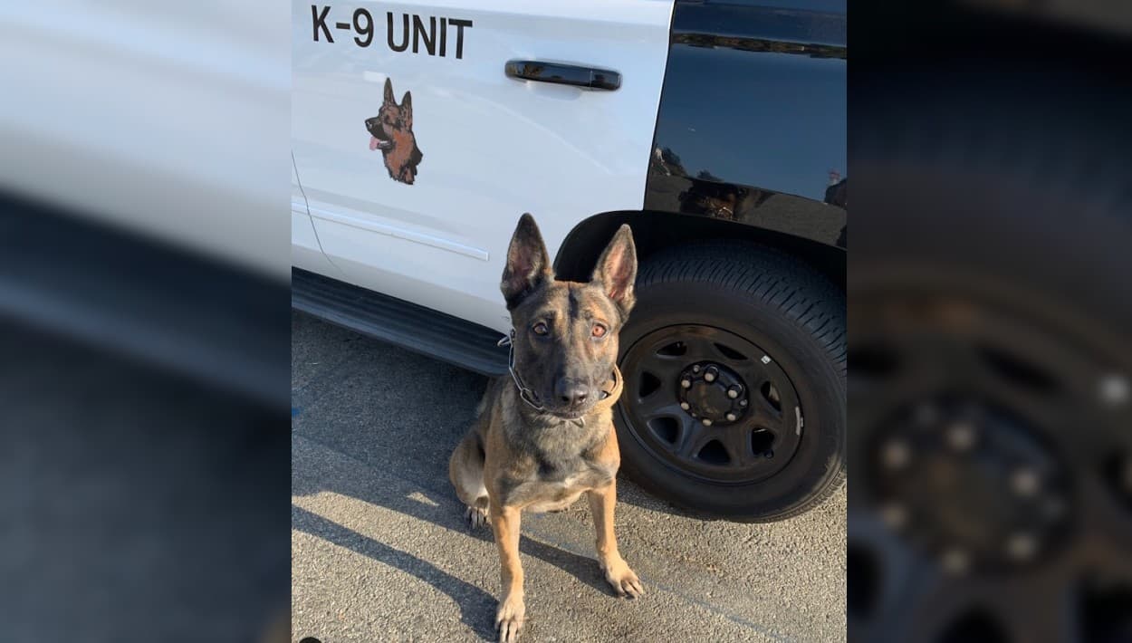 Policía de Los Ángeles lamenta la muerte de Jack, un agente con "corazón de guerrero": hombre de 63 años le disparó