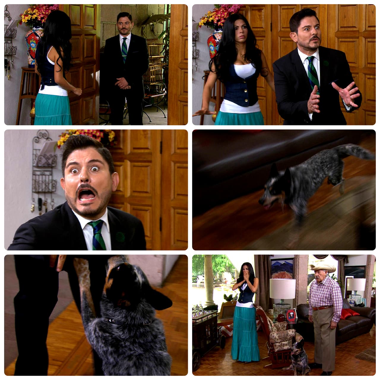 ¡Hasta Santiago salió herido! Fue a hablar contigo para abogar por su 'Puchis', pero no le fue nada bien. ¡Murci lo mordió!