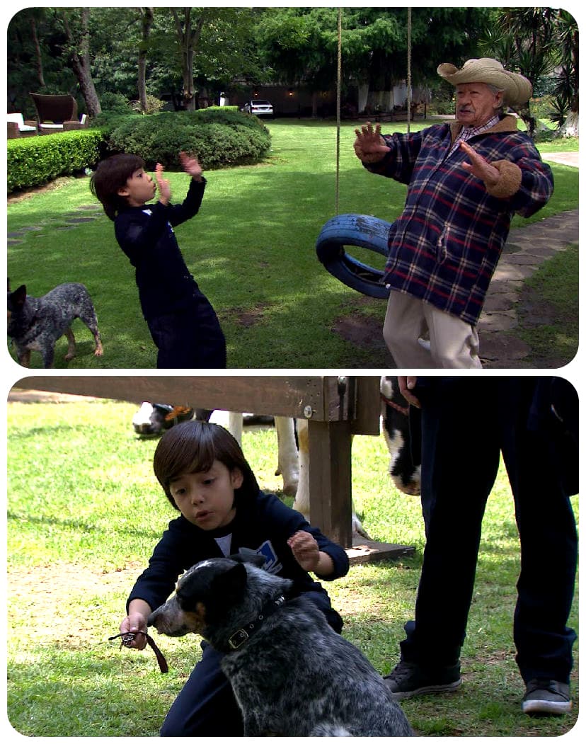 ¡Qué aventura viviste Jacinto! Bueno, no sólo tú. También Susana y sus amigos.