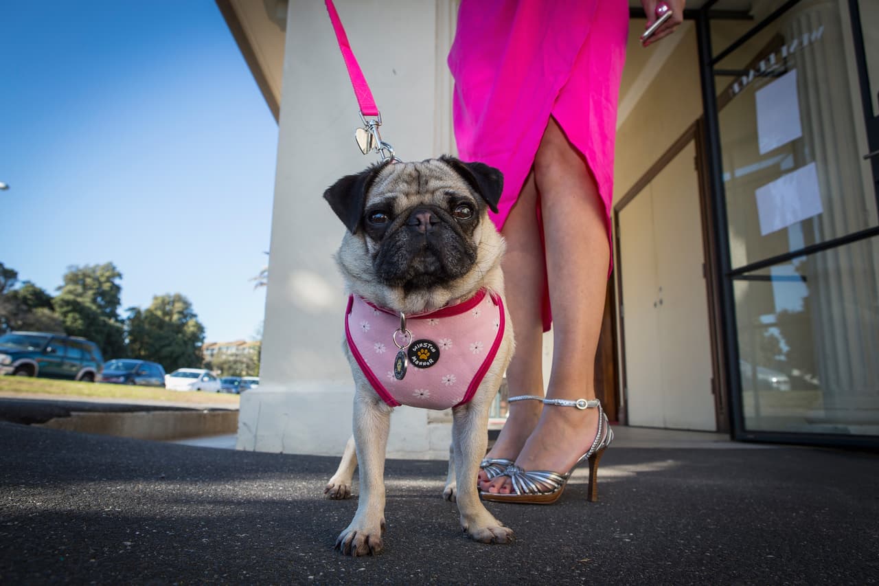 Cómprense ropa igual, tal vez no serán la misma talla, pero sí pueden salir a pasear con una prenda del mismo color. Hasta podrían hacerse un corte nuevo para hacer un cambio de look.