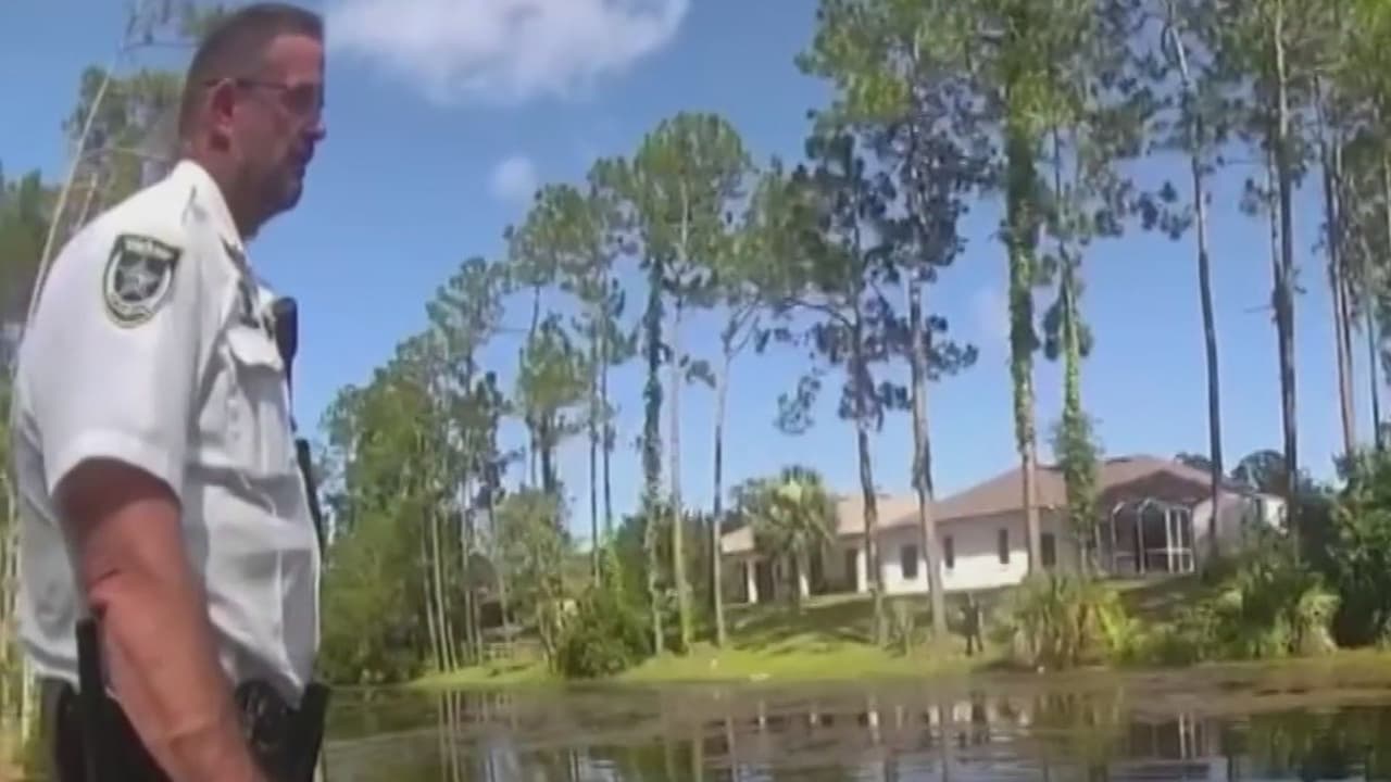 Hombre se lanza a un canal lleno de caimanes en Florida para evadir a la policía