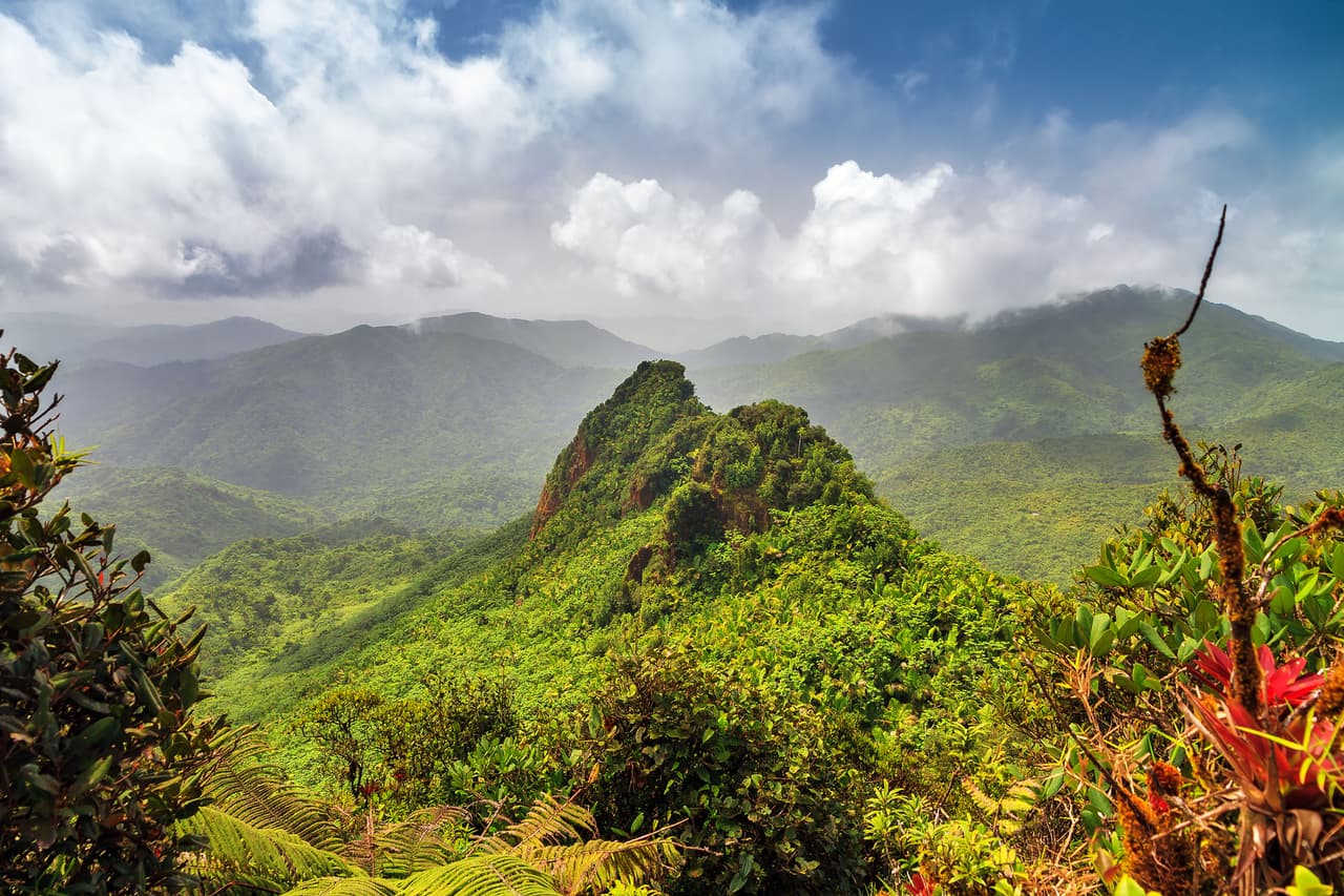 <b>Parque Forestal El Yunque (Puerto Rico)</b>
<br>
<br>Es la única selva tropical dentro de las propiedades del Servicio Forestal de los Estados Unidos y resultó muy afectada por los huracanes Irma y María en 2017.
<br>
<br>Los fondos gubernamentales para su recuperación han tardado en llegar, pero las iniciativas locales turísticas están reconstruyendo los senderos y organizando visitas ecológicas.
<br>