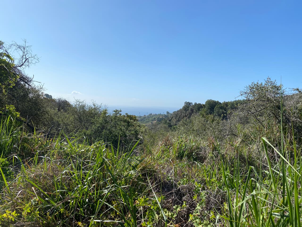 La primavera es una de las temporadas ideales por las frescas temperaturas. Sin embargo, los patrones de cambios, con olas de calor, alteran un poco los ecosistemas de montaña y las necesidades de la vida silvestre.