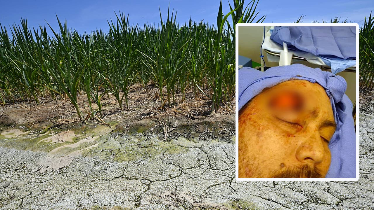 Preocupa propagación de fiebre del valle y estudian vínculo con el cambio climático