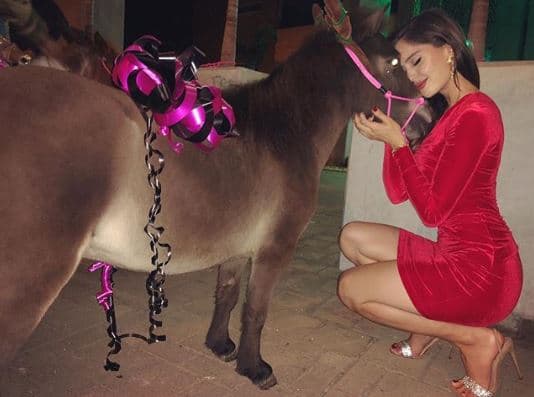 Natalia compartió esta instantánea 
<a href="https://www.instagram.com/natalia/"><b>con sus seguidores en Instagram</b></a> y al pie de la misma escribió: "Ustedes 
<b>no saben lo mucho que quería </b>un poni y luego apareció Santa como... ¡Gracias, mi amor Maluma! [...]".