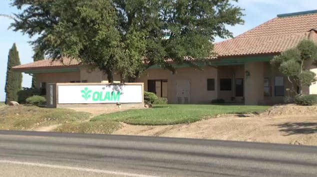 Mas de 200 trabajadores serán despedidos en empresa procesadora de tomates 
