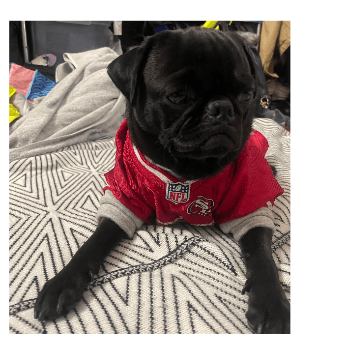 Jacke es el consentido en la casa de Miguel A. Pérez. Y desde luego que apoya a los 49ers.