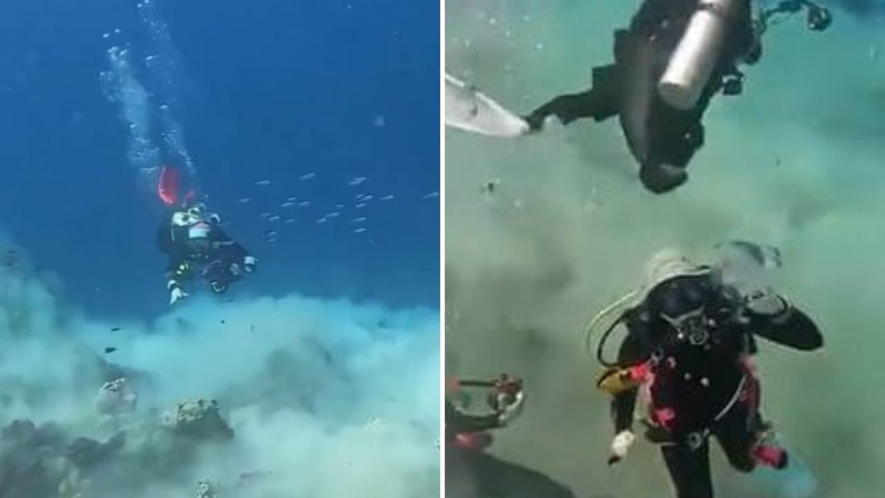 Buzos captan cómo se ve un terremoto bajo el mar.