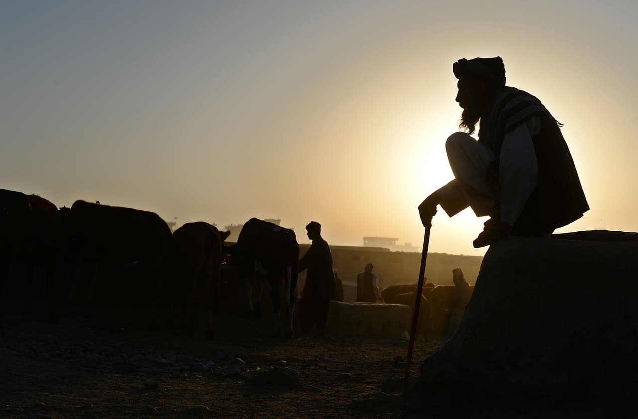 Un comerciante de ganado espera a los clientes en el mercado de Kabul, el día del ‘festival del sacrificio’ en octubre de 2014. "Nuestro amigo, el gran fotógrafo Shah Marai, está entre los muertos de la segunda explosión de Kabul esta mañana. Estaba haciendo su trabajo, como lo había hecho durante más de dos décadas", escribió el corresponsal del New York Times Mujib Mashal.