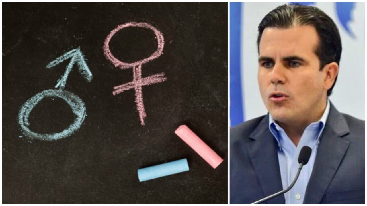 Ricardo Rosselló dijo que va derogar la carta circular sobre educación con perspectiva de género y ya hay oposición
