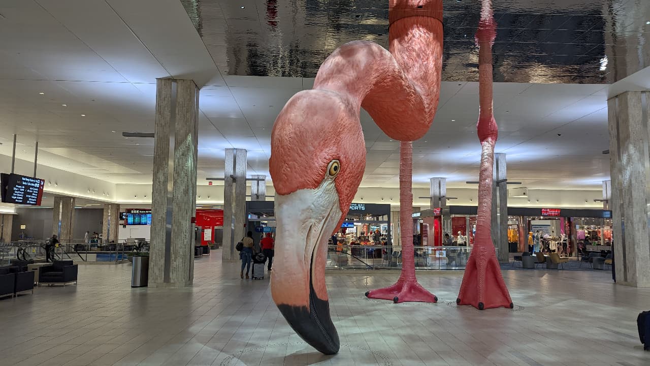 Aeropuerto Internacional de Tampa registra cifras récord durante Spring Break