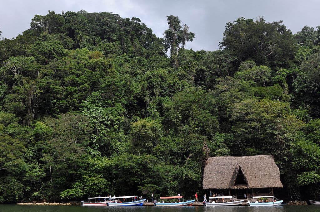 <b>En el Caribe guatemalteco.</b> El narcotraficante fue arrestado en la aldea Las Viñas, del municipio de Los Amates, en el departamento caribeño de Izabal, durante un operativo de la Policía Nacional, fiscales del Ministerio Público (MP) y el Ejército.
<br>