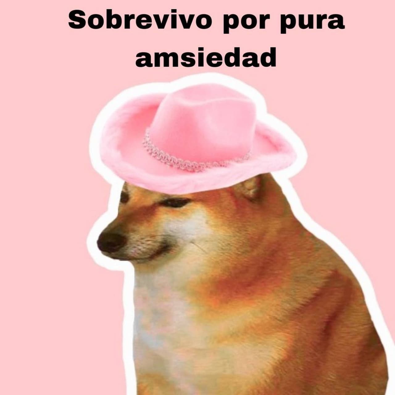 Muchos fanáticos tuvieron que vivir horas de ansiedad por no saber si alcanzarían a quedarse con uno de los boletos para ver el regreso de RBD.