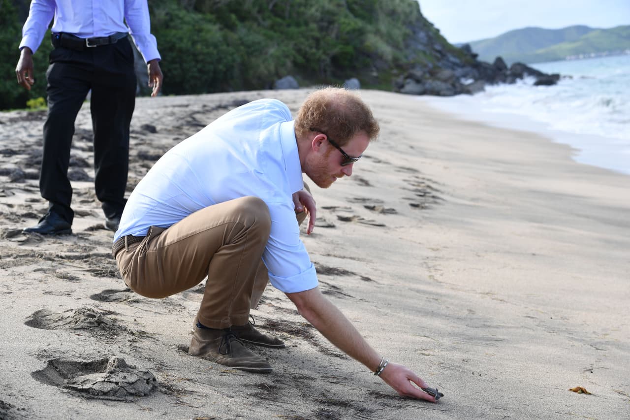 Fue invitado a formar parte de esta actividad como parte de un programa de preservación marina.