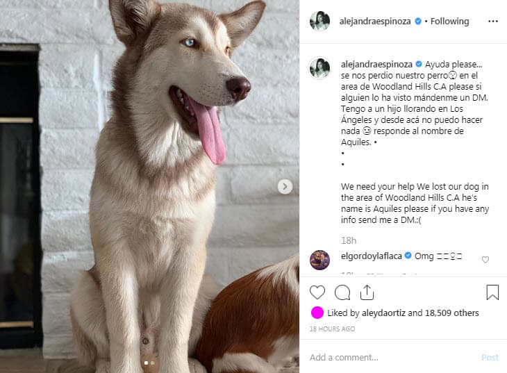 La actriz y conductora envió un mensaje desesperado a través de Instagram para que sus seguidores la ayudaran a encontrarlo, pues su hijo Matteo estaba inconsolable.