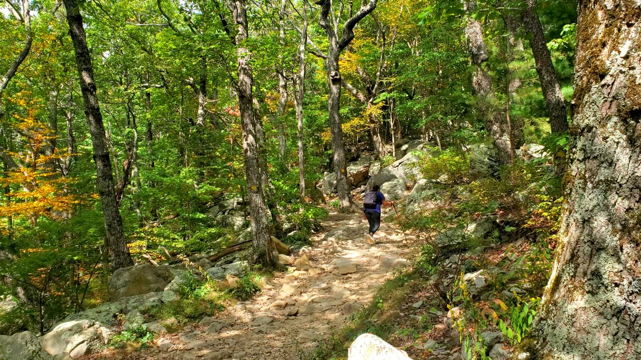 En el parque encontrarás senderos que te llevarán por caminos de tierra y paredes de roca.