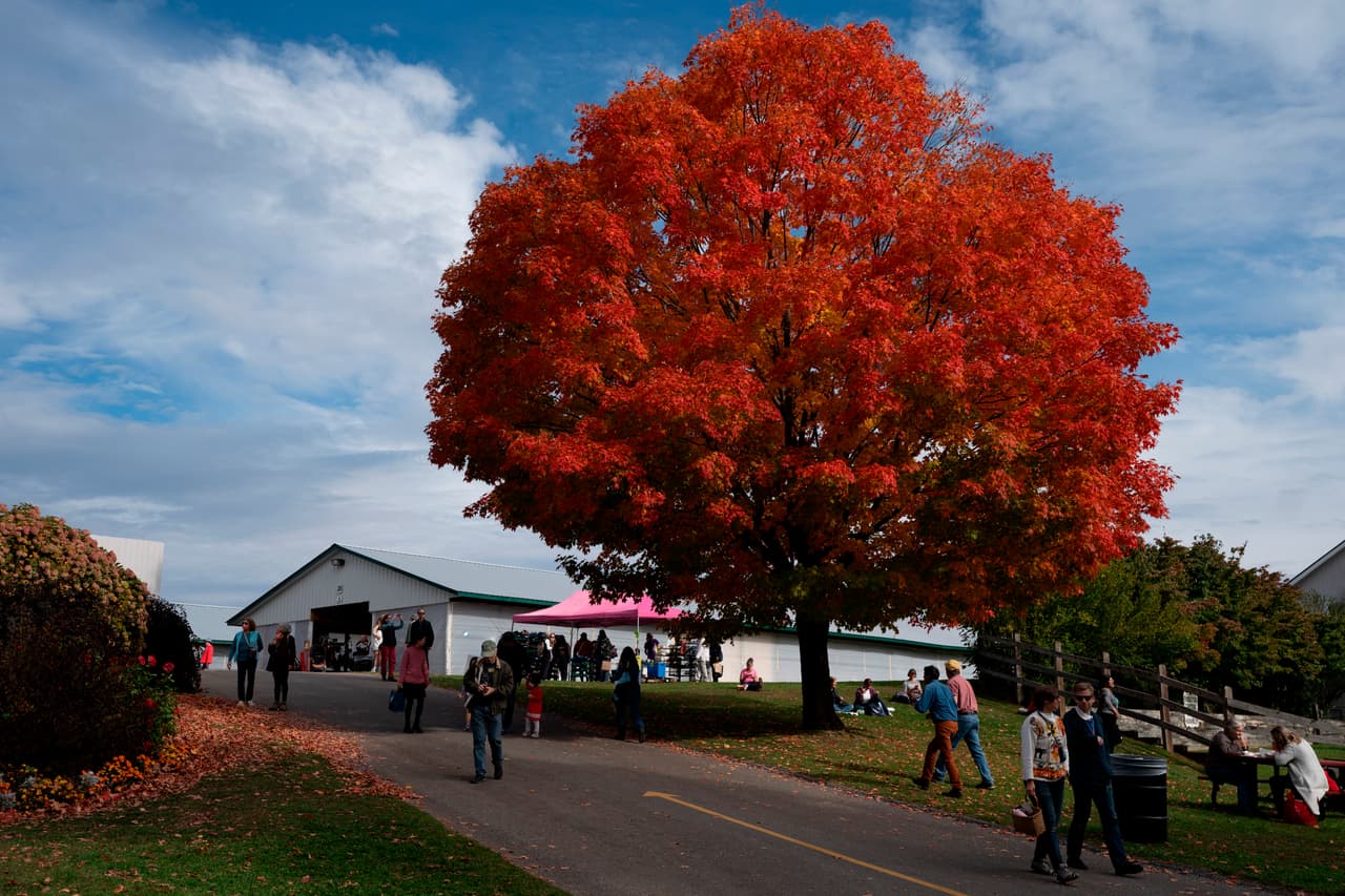La Ciudad de Nueva York cuenta con más de 300 millas de senderos y más de 500,000 árboles que en otoño cambian de color.
<br>