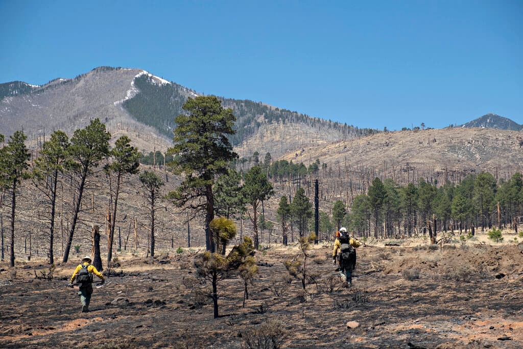 El fuego ha destruido al menos 200 estructuras y otras 900 continúan en riesgo, declaró la gobernadora de Nuevo México, Michelle Lujan Grisham. Funcionarios de manejo de incendios indicaron que se desconoce el daño exacto debido a que las condiciones siguen siendo demasiado peligrosas para que las cuadrillas evalúen todos los hogares que se han perdido. Unos 1,000 bomberos fueron desplegados para el combate de los incendios en todo el estado.