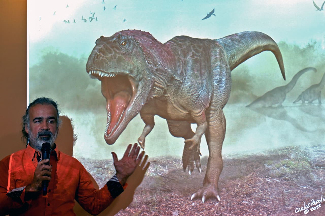 <b>Los investigadores creen que los tiranosáuridos (como T. Rex), los carcarodontosáuridos (como el Meraxes) y una tercera especie gigante desarrollaron brazos diminutos porque obtenían ciertos beneficios. </b>
<br>
<br>Peter Makovicky, de la Universidad de Minnesota y autor de la investigación, 
<b>piensa que sus cabezas, a medida que iban creciendo se iban convirtiendo en la herramienta dominante de su arsenal depredador,</b> asumiendo la función que habrían tenido las extremidades anteriores en especies más pequeñas. 
<br>
<br>
<br>En la foto, el paleontólogo argentino Sebastián Apesteguia habla sobre un dinosaurio carnívoro gigante recién descubierto. 
<br>
<br>