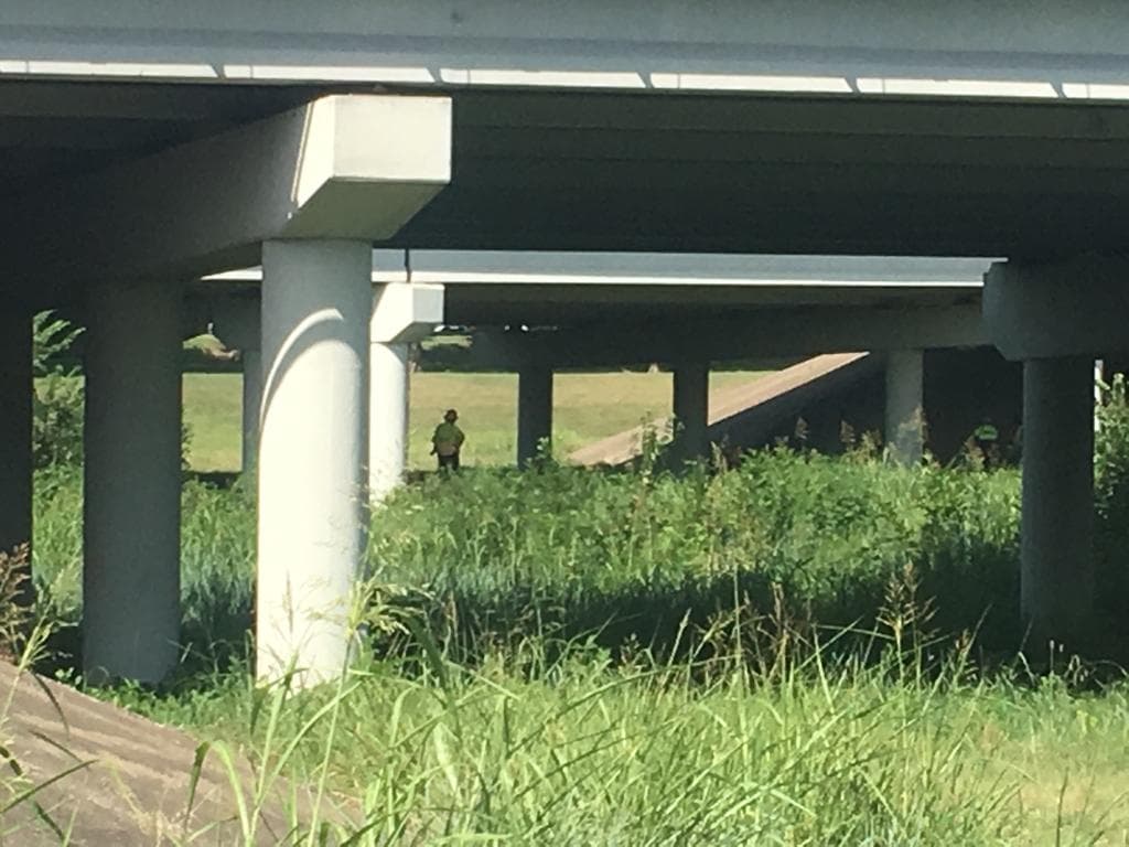 Conductor muere en arroyo tras accidente automovilístico en Coppell