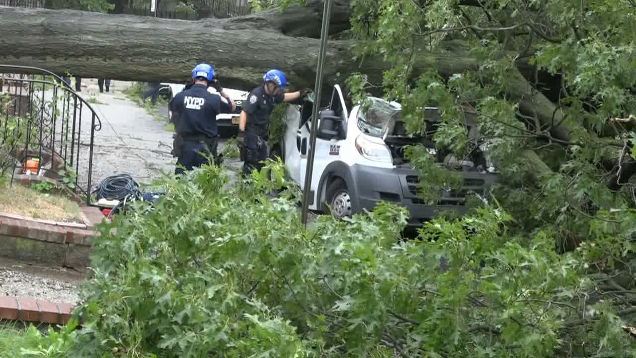 Hispano muere en Queens al caerle un árbol durante la tormenta Isaías