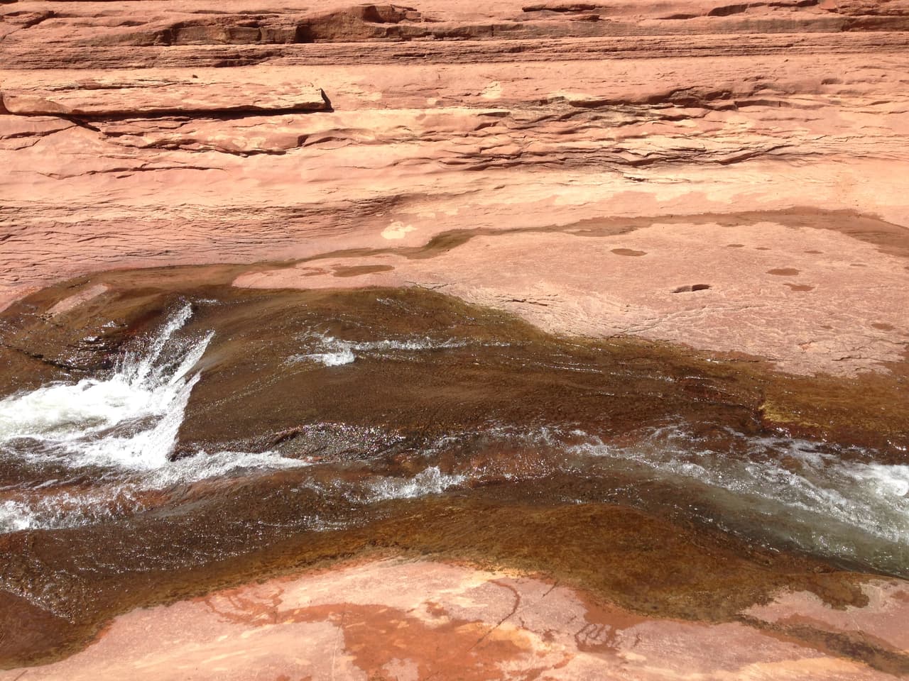 El agua es cristalina.