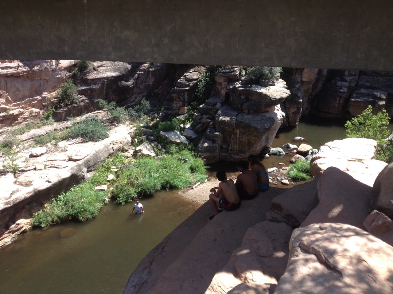 Se lanzan desde una roca a varios pies de altura.
