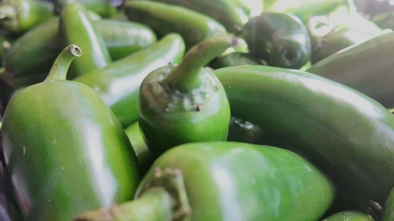 Retiran jalapeños de México por riesgo de salmonela en EEUU