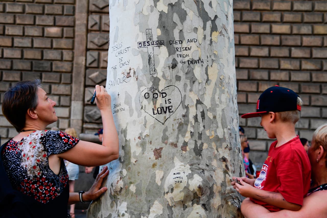 "Dios es amor", se lee en la zorteza de este árbol en las inmediaciones del lugar de los ataques.