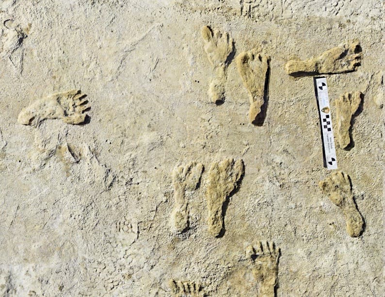 El hallazgo de huellas fósiles dan pistas sobre si los primeros humanos llegaron al continente americano antes de lo que se pensaba