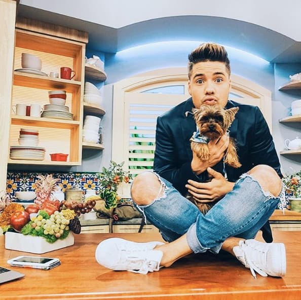 Tobi, es el compañero inseparable de William y la mascota consentida de todos en Despierta América.