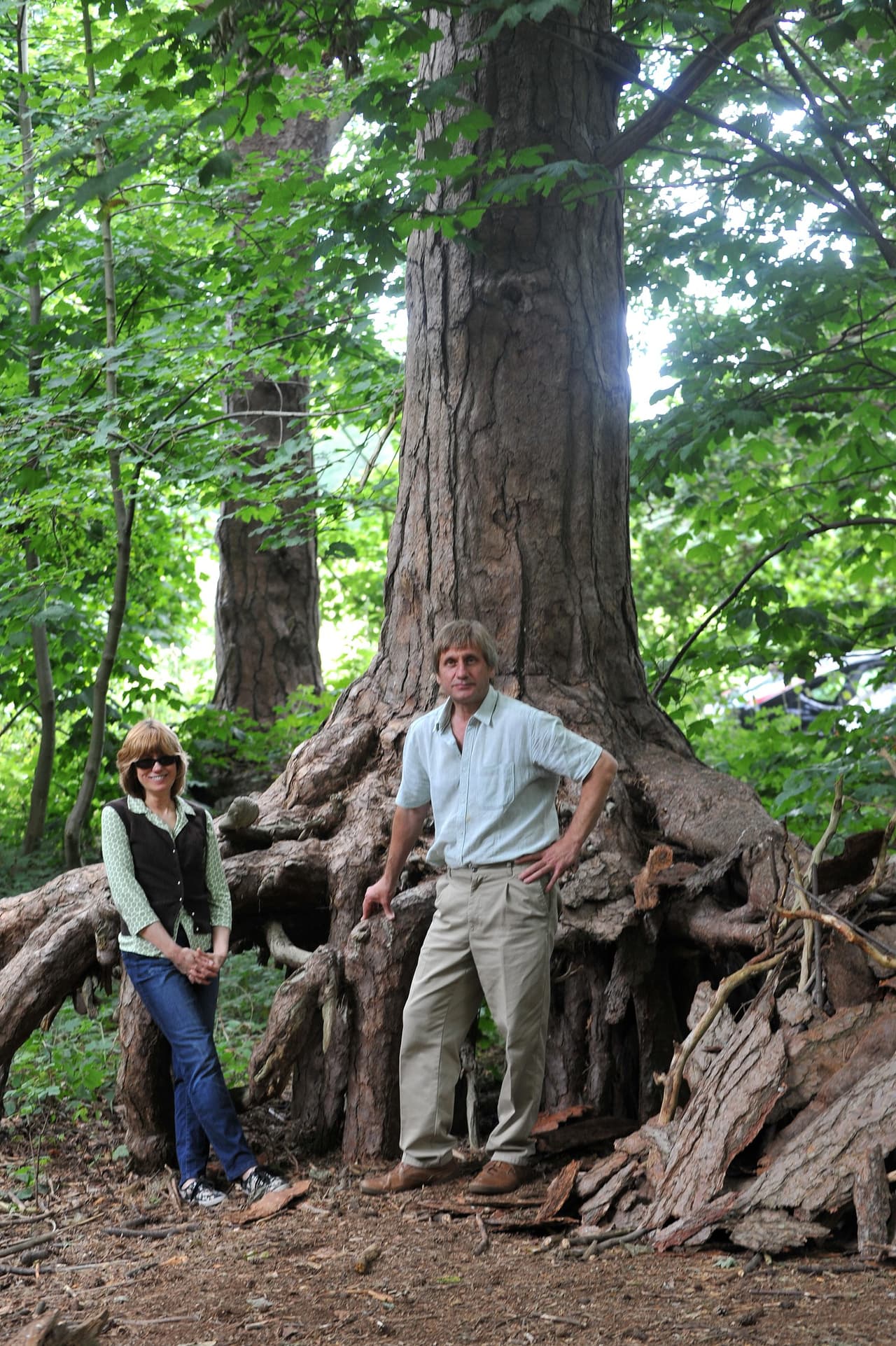 Esta pareja se propuso el reto de recrear la madriguera donde viven los hobbits de J.R. Tolkien.