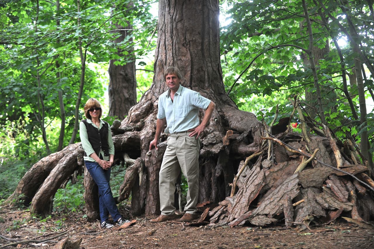 El conflicto con Warner Bros y Middle Earth Enterprises re seolvió a renomrar el concepto y las referencias asociadas en la página.