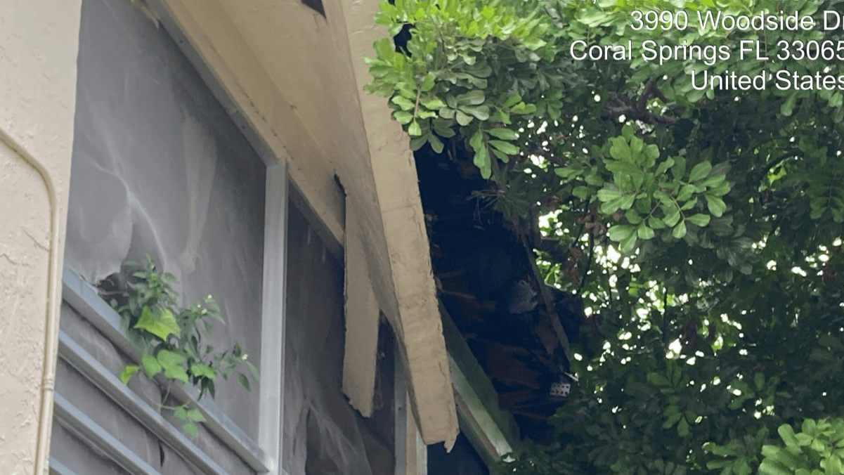 La ciudad de Coral Springs publicó un Power Point que muestra los daños y el deterioro en la propiedad.