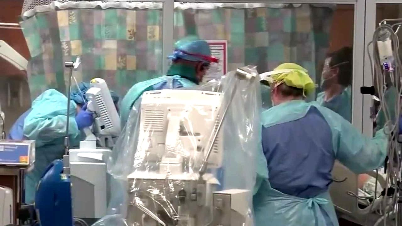 Tailandia detecta nueva cepa de coronavirus en murciélagos, esto se dice al respecto