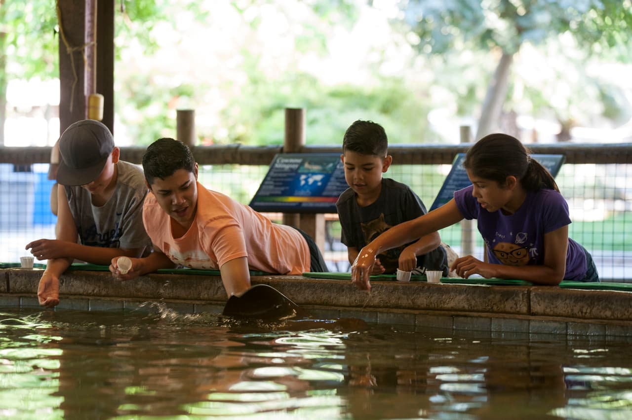 Un bello dia fue perfecto para las familias desde Bakersfield a Modesto.