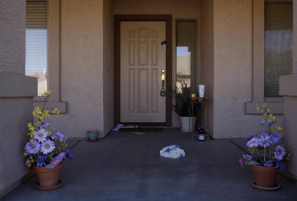 Las polillas son atraídas por las luces, por lo que expertos recomiendan que residentes se aseguren 
<b>de cerrar las puertas o apagar las luces exteriores por la noche si no quieren tener muchas en su casa.</b>