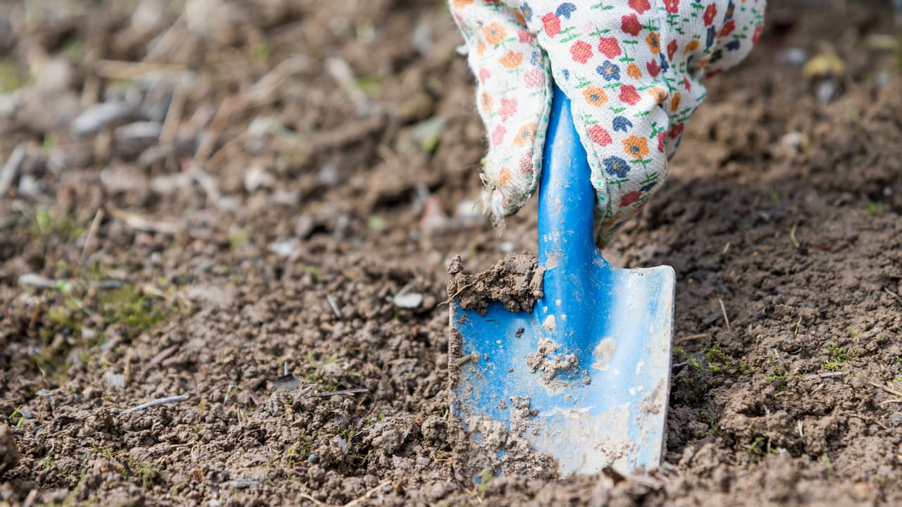 Lleva contigo el frasquito de vidrio con su contenido al menos nueve días. Pasado este periodo de tiempo, lo vas a enterrar en tu jardín, maceta o en algún lugar fuera de tu casa junto con la foto de la persona con la ruda detrás para que se "endulce".