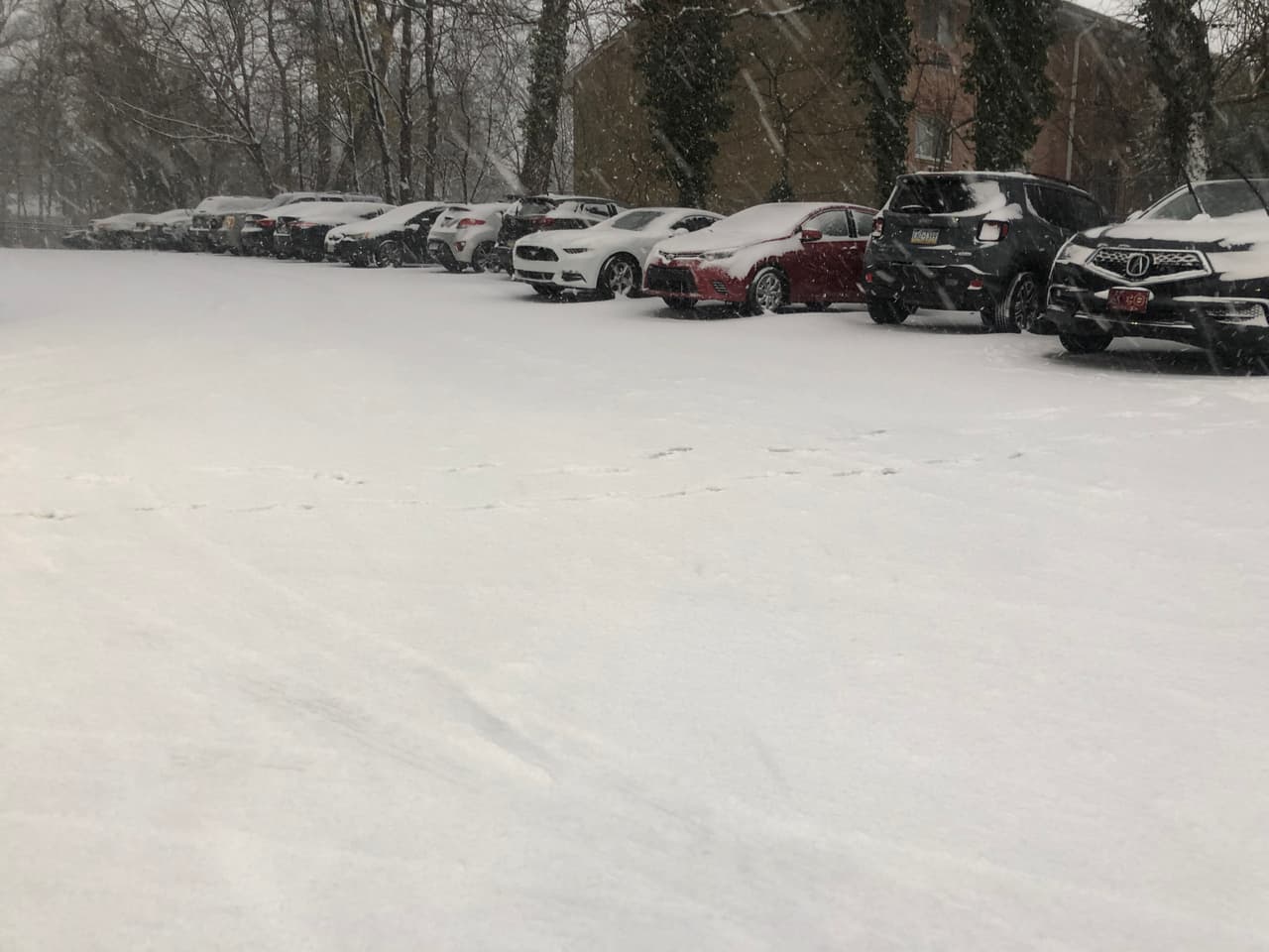 Es la primera vez en casi dos años que las carreteras de la ciudad se cubren de nieve.