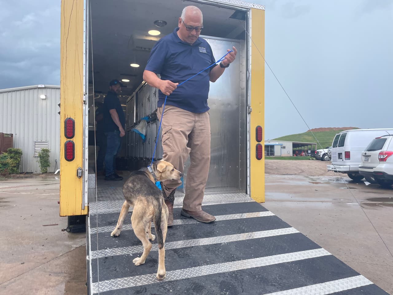 La operación se realizó en respuesta a la emergencia, buscando aliviar la presión en los refugios locales y 
<b>garantizar el bienestar de los animales desplazados por el desastre natural.</b>
<br>