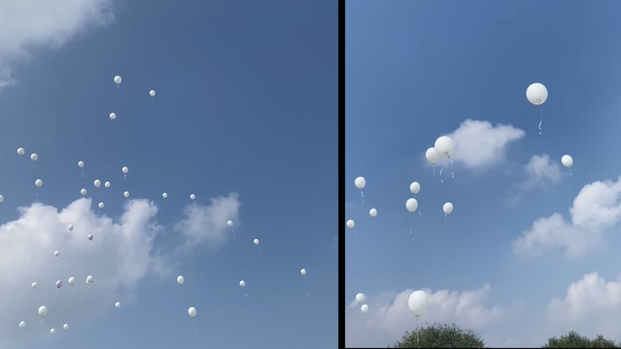 La familia regresó a Pharr, Texas, y velaron a la pequeña Dianita el lunes 12 de octubre. El martes 13 se realizó el entierro y la familia y amigos le dieron el último adiós.