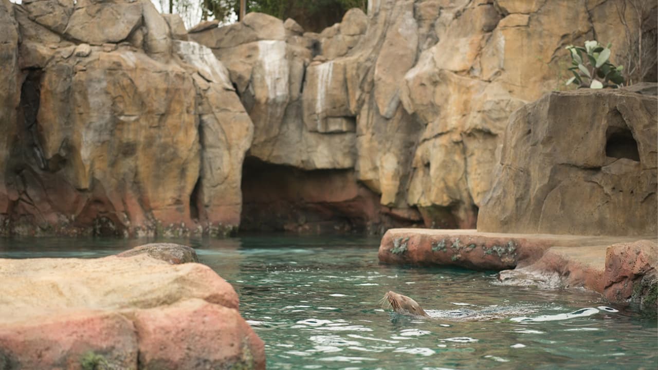 La exhibición será inaugurada este viernes 7 de abril.