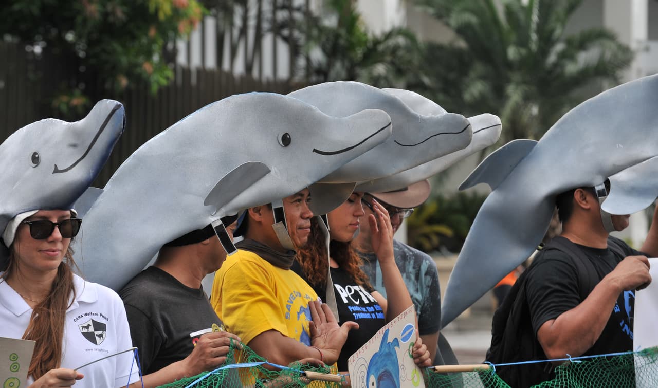 La mayoría de los cetáceos de Taijin son destinados al consumo humano, principalmente en el mercado nipón, mientras que una pequeña parte son capturados vivos y vendidos a zoológicos y acuarios de todo el mundo, según la ONG de protección medioambiental Sea Shepherd.