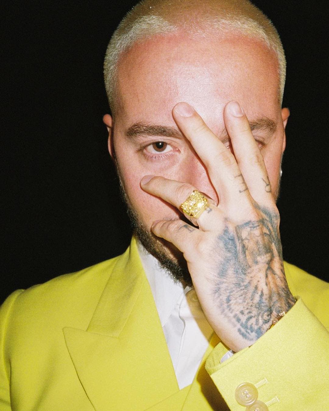 Sobre estos felinos ha dicho: "Me gustan porque son poderosos, inteligentes y bellos".