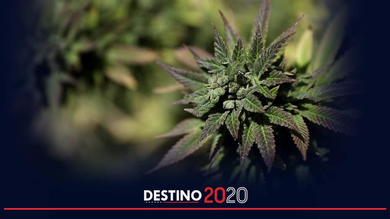 Nueva Jersey aprueba la legalización de la marihuana recreativa